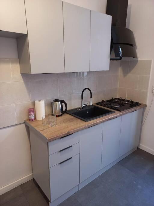 Apartment Apartament W Sercu Starowki - *